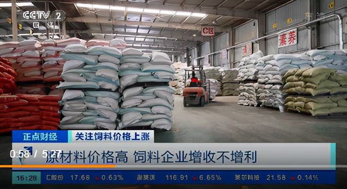 飼料價格上漲的連鎖反應 養殖戶虧損加劇，企業利潤承壓