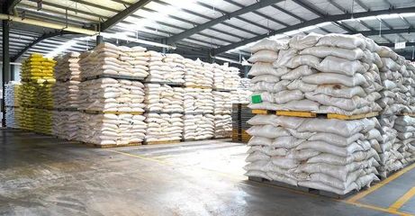 奮戰“開門紅” | 隨州正大 產銷兩旺干勁足，跑出新春“加速度”