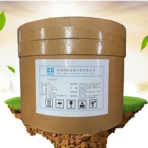 食品與飼料添加劑產業鏈 生產廠家與批發商在飼料生產中的關鍵角色