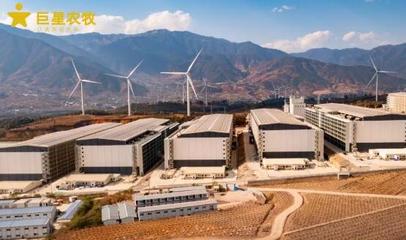 智匯農(nóng)牧，悅見未來 巨星農(nóng)牧德昌生豬繁育一體化項目開放日盛大啟幕